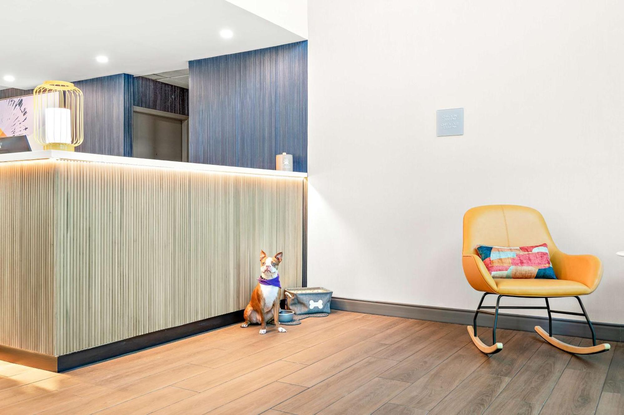 Spark By Hilton Exton Luaran gambar